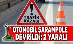 Otomobil şarampole devrildi, 2 kişi yaralandı