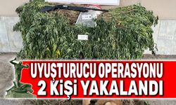 Afyon'da uyuşturucu operasyonu, 2 kişi yakalandı
