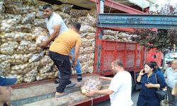 Afyon'da bir üretici, tarlasında yetiştirdiği 20 ton patatesi halka dağıttı