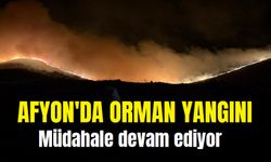 Afyon'da orman yangını: Müdahale devam ediyor