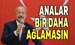 Mehmet Taytak: Analar bir daha ağlamasın