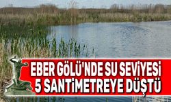 Eber Gölü'nde su seviyesi 5 santimetreye düştü