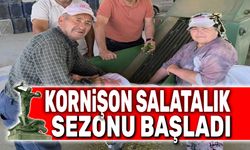 Kornişon salatalık sezonu başladı