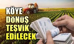Köye dönüş teşvik edilecek