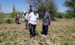 Milletvekili Yurdunuseven’den dolu zararı incelemesi