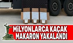 Tırda milyonlarca kaçak makaron yakalandı