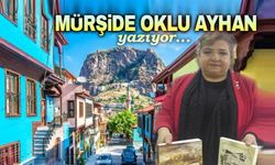 Mürşide Oklu Ayhan'dan 24 Temmuz Basın Bayramı Mesajı