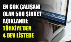 Türkiye'nin istihdam liderleri!..