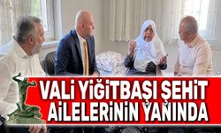 Vali Yiğitbaşı şehit ailelerinin yanında
