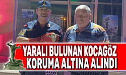 Yaralı bulunan Kocagöz koruma altına alındı