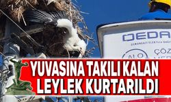 Yuvasına takılı kalan leylek kurtarıldı