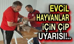 Afyon'da evcil hayvanlar için çip uyarısı!..