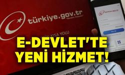 e-devlet'e yeni hizmetler geliyor