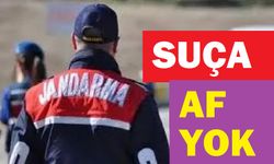 Afyon Jandarması bu hafta da suçlulara geçit vermedi