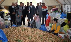 Afyon Dinar'da ceviz hasadı başladı