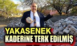 Yakasenek, kaderine terk edilmiş