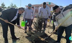 Afyonkarahisar’da binlerce fidan toprakla buluştu