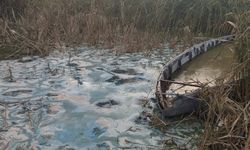 Eber Gölü, kağıt üzerinde yaşatılıyor!..