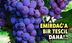 Emirdağ Karacalar Üzümü Coğrafi İşaret Tescili aldı