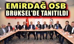 Emirdağ OSB, Brüksel'de tanıtıldı