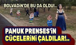 Pamuk Prenses'in cücelerini çaldılar!..