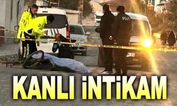 Trafik kazası sonucu kanlı intikam