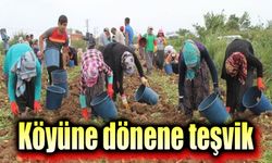 Köyüne geri dönene teşvik geliyor!..