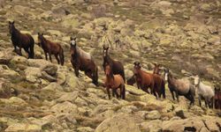 Afyonkarahisar'ın zirvesinde büyüleyen görüntüler