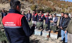 Arıcılara lavanta fidesi dağıtıldı