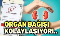 Organ bağışında yeni dönem