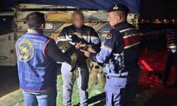 Hayvan hırsızları kısa sürede yakalandı!..