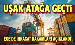 İhracatta Uşak atağa geçti, Afyon düştü!..