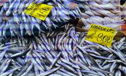 Afyon'da tezgahlarda hamsi bereketi!..