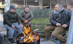 Afyon'da pazarcı esnafının soğukla imtihanı!..