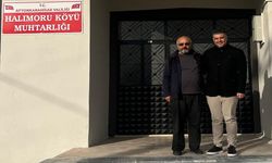 Halımoru köyünde kanalizasyon dereye karışıyor