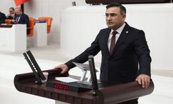 Dr. Hasan Arslan, Sağlık Bakanlığı bütçesinde konuştu