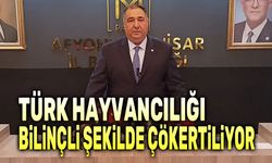Muhammet Mısırlıoğlu: Türk hayvancılığı bilinçli şekilde çökertiliyor