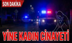 Yine kadın cinayeti!..