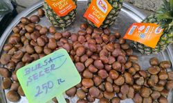 Kestane sezonu açıldı!..