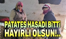 Patates hasadı bitti, depolama süreci başladı