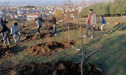 Afyon'da Sandıklılı yarenler badem fidan dikti