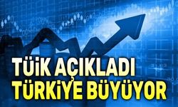 TÜİK büyüme rakamlarını açıkladı