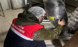 Gıda işletmelerinin denetimleri devam ediyor