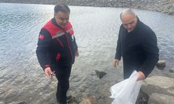 Afyonda 39 göl ve gölete balık bırakıldı