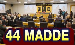 Afyonkarahisar Belediye Meclisi 2 Şubat'ta toplanıyor