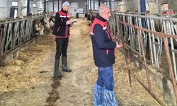 Afyon'da besiciler denetleniyor