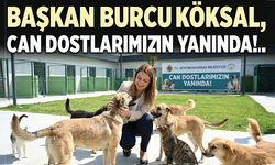 Afyonkarahisar, can dostların yanında!..