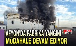Afyon'da fabrika yangını, müdahale devam ediyor