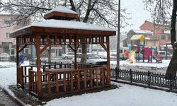 Afyonkarahisar'da beklenen kar yağışı başladı