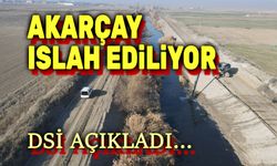 DSi açıkladı: Akarçay'ın ıslahı devam ediyor